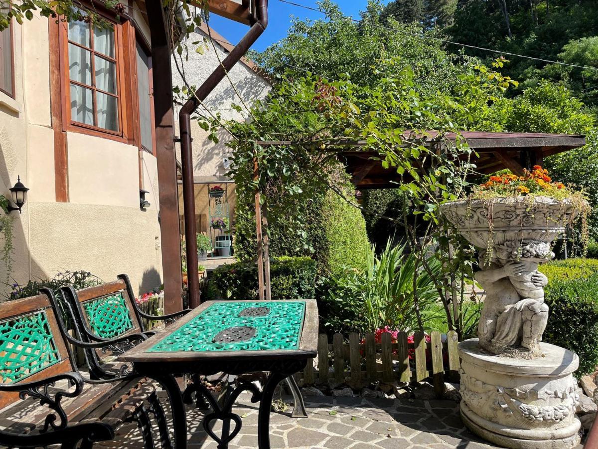 Dream House Brasov Hotel Luaran gambar